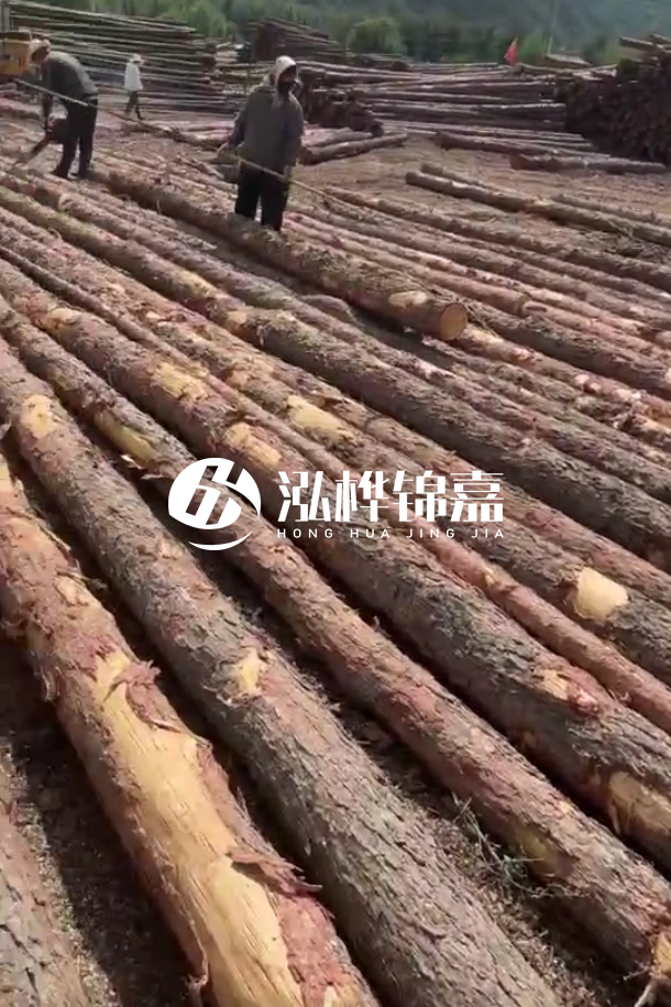 ?？谒赡緲对搭^廠家-松木樁最長(zhǎng)可以做多少米？