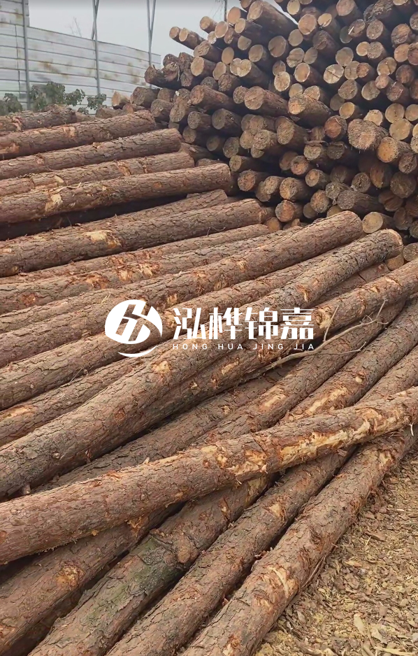 山西河道木樁護(hù)岸價(jià)格多少錢一米-每米河道打樁要花多少錢？