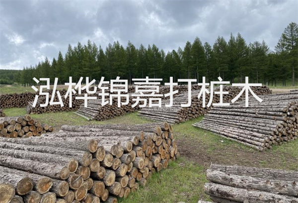 松木樁施工評定表，保障工程質量與安全